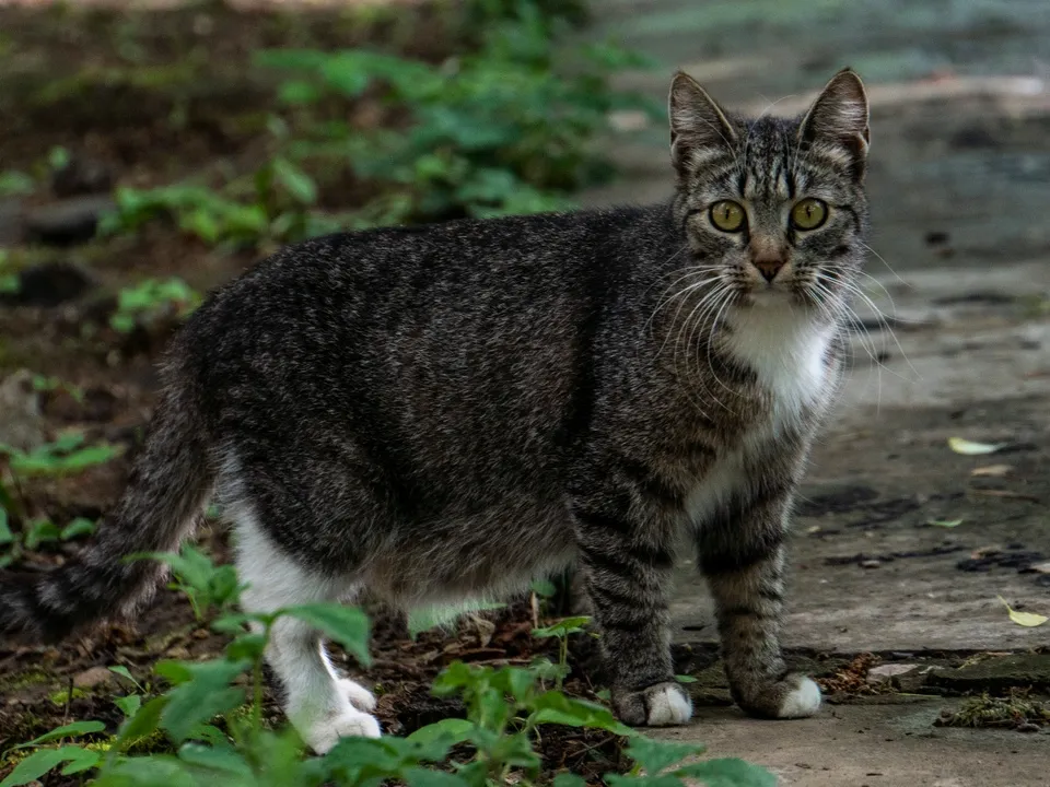 фото: Наталия Надточая&nbsp;