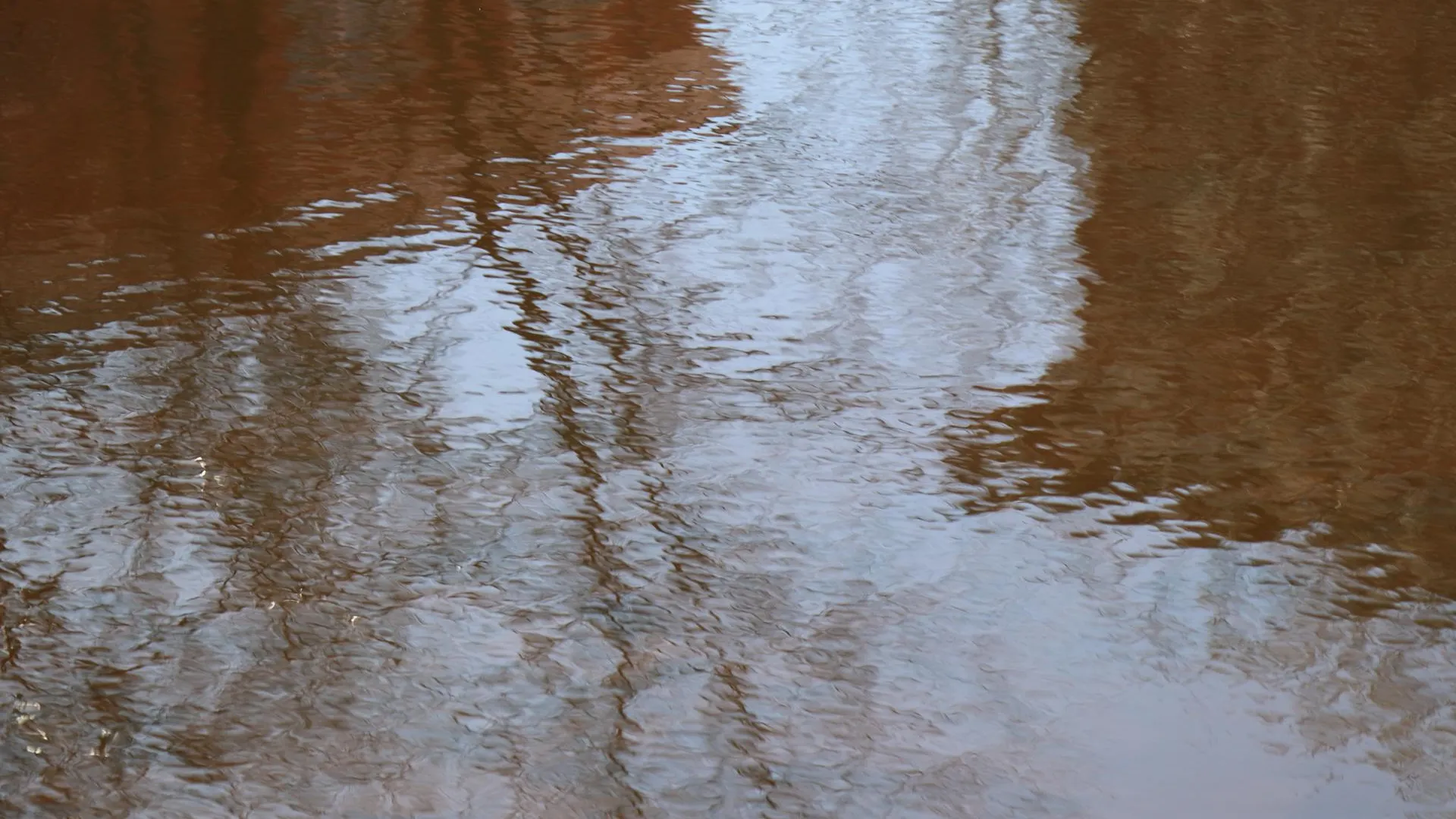 Фото: Василий Тремасов