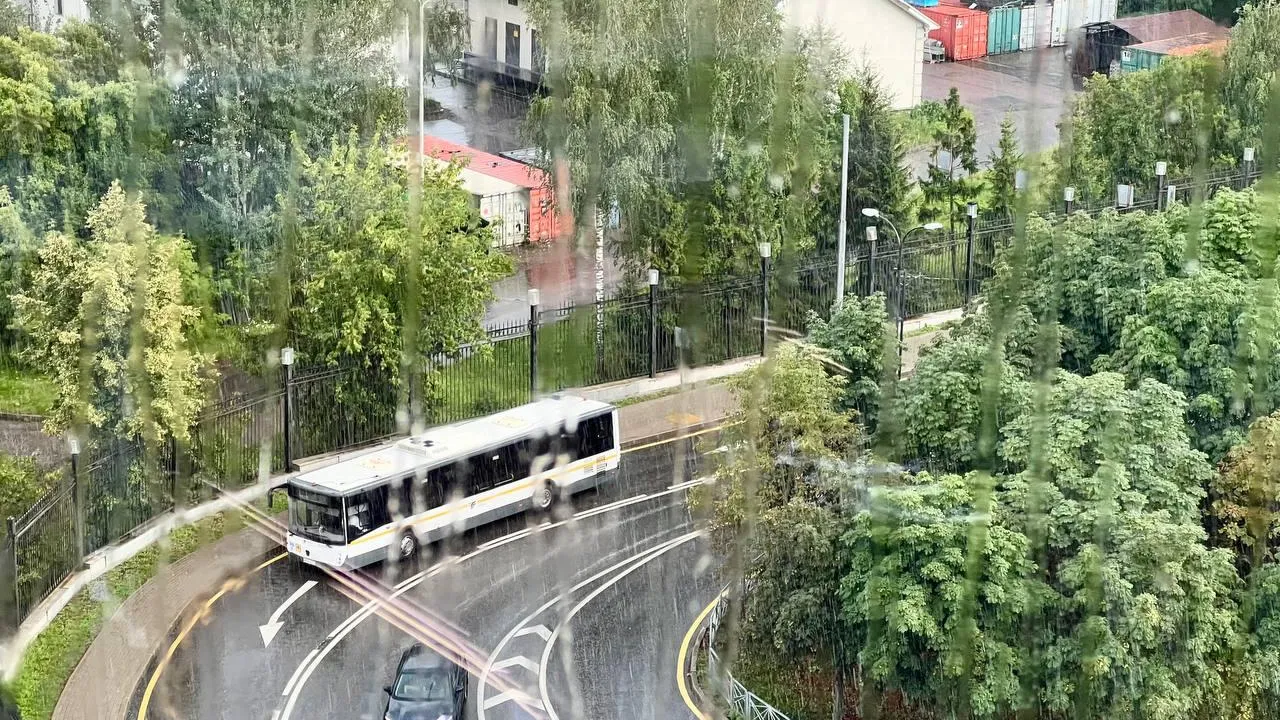 Фото: Минтранс Подмосковья