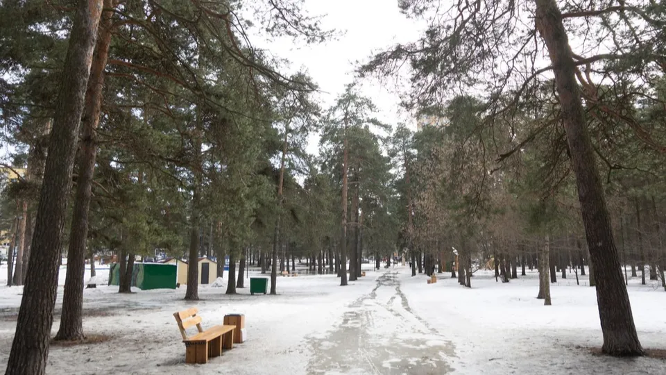 Фото: медиасток.рф