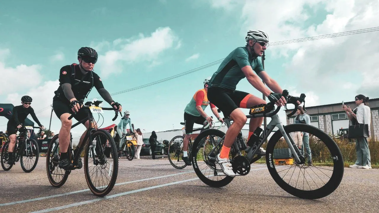 МедиаБанк Подмосковья/Мария Панина