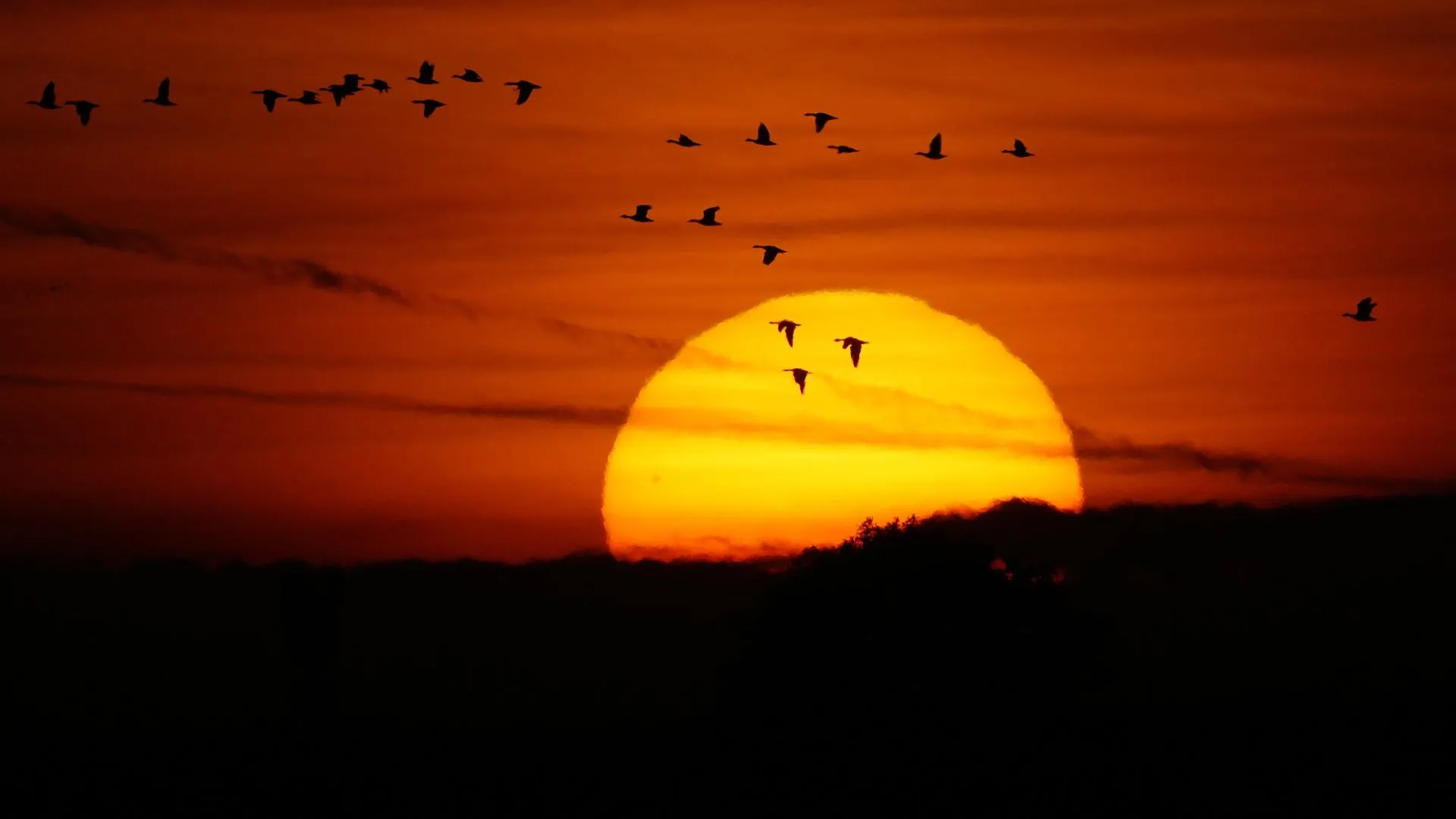 Wolfram Steinberg/dpa