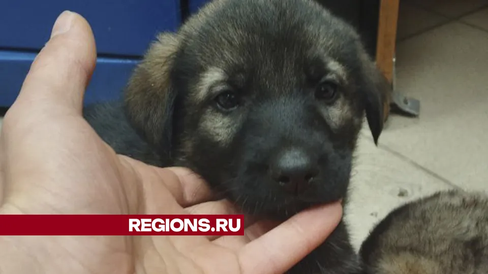 Фото: личный архив Дмитрия Сидикина