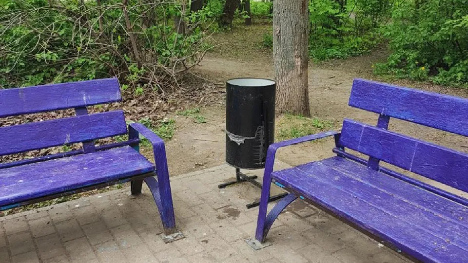 Фото: Администрация Лосино-Петровского г.о.