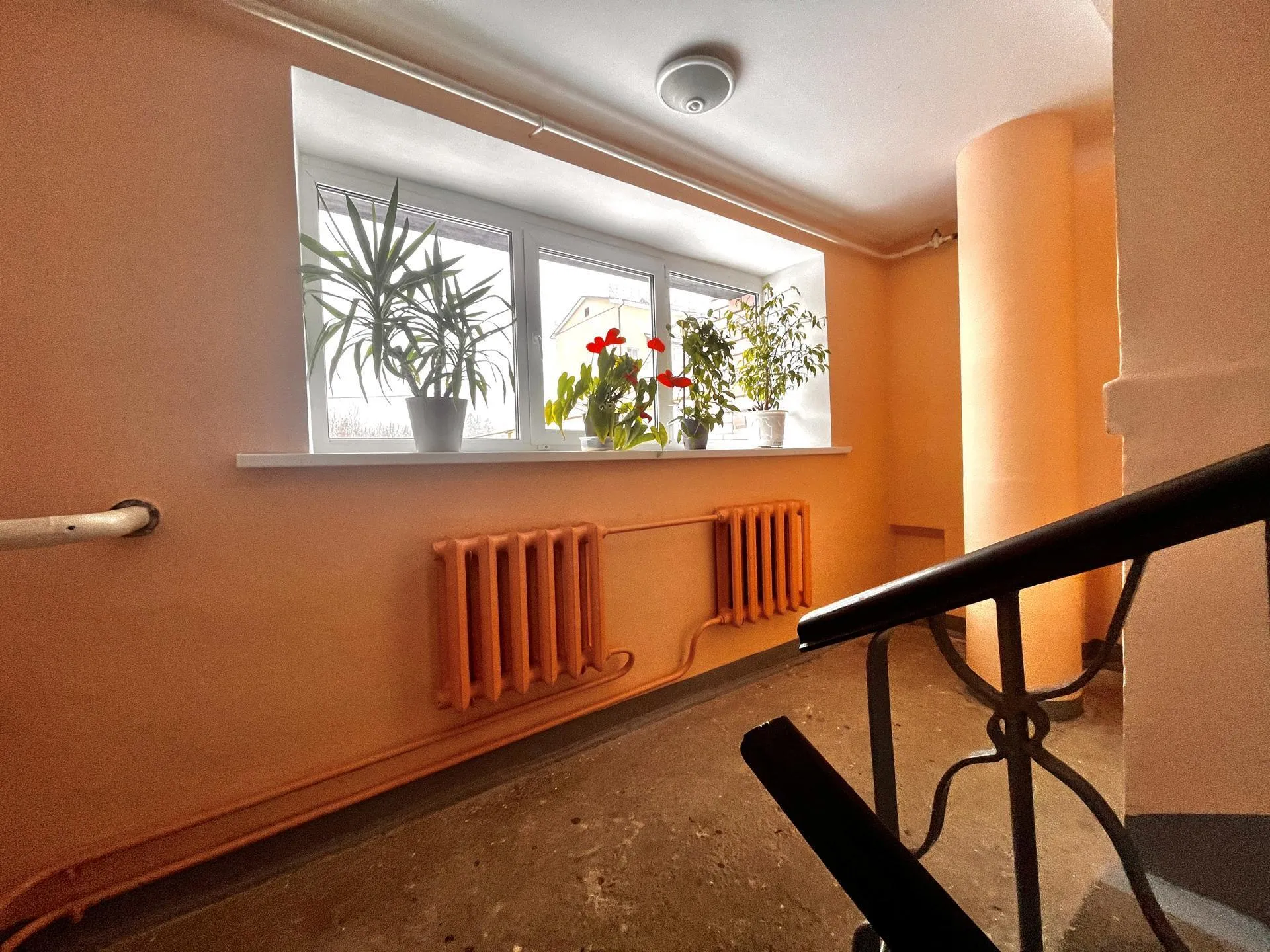 Фото: Дарья Московцева