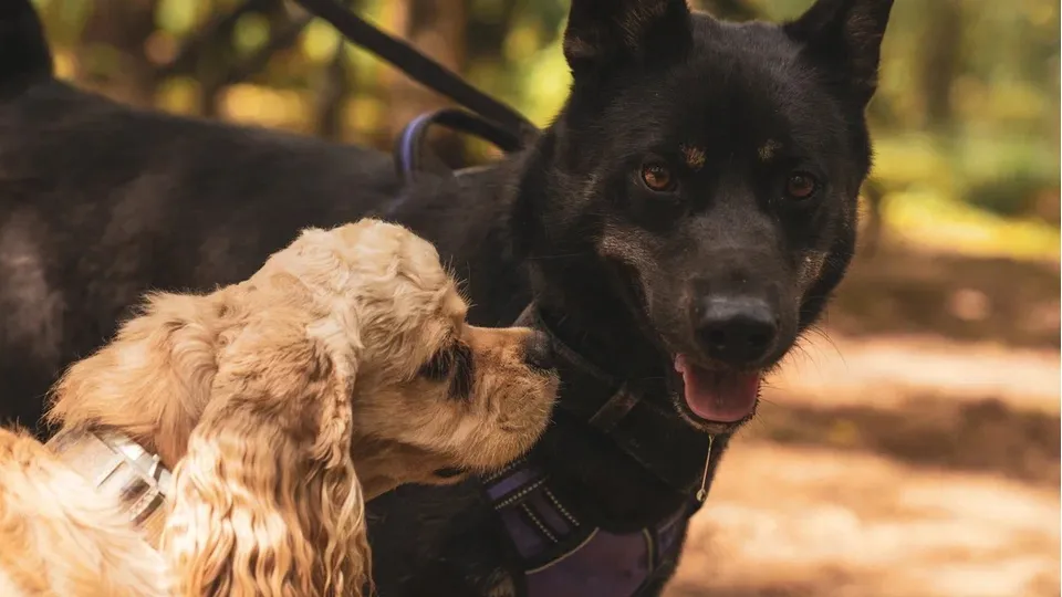 Фото: REGIONS/Наталия Надточая