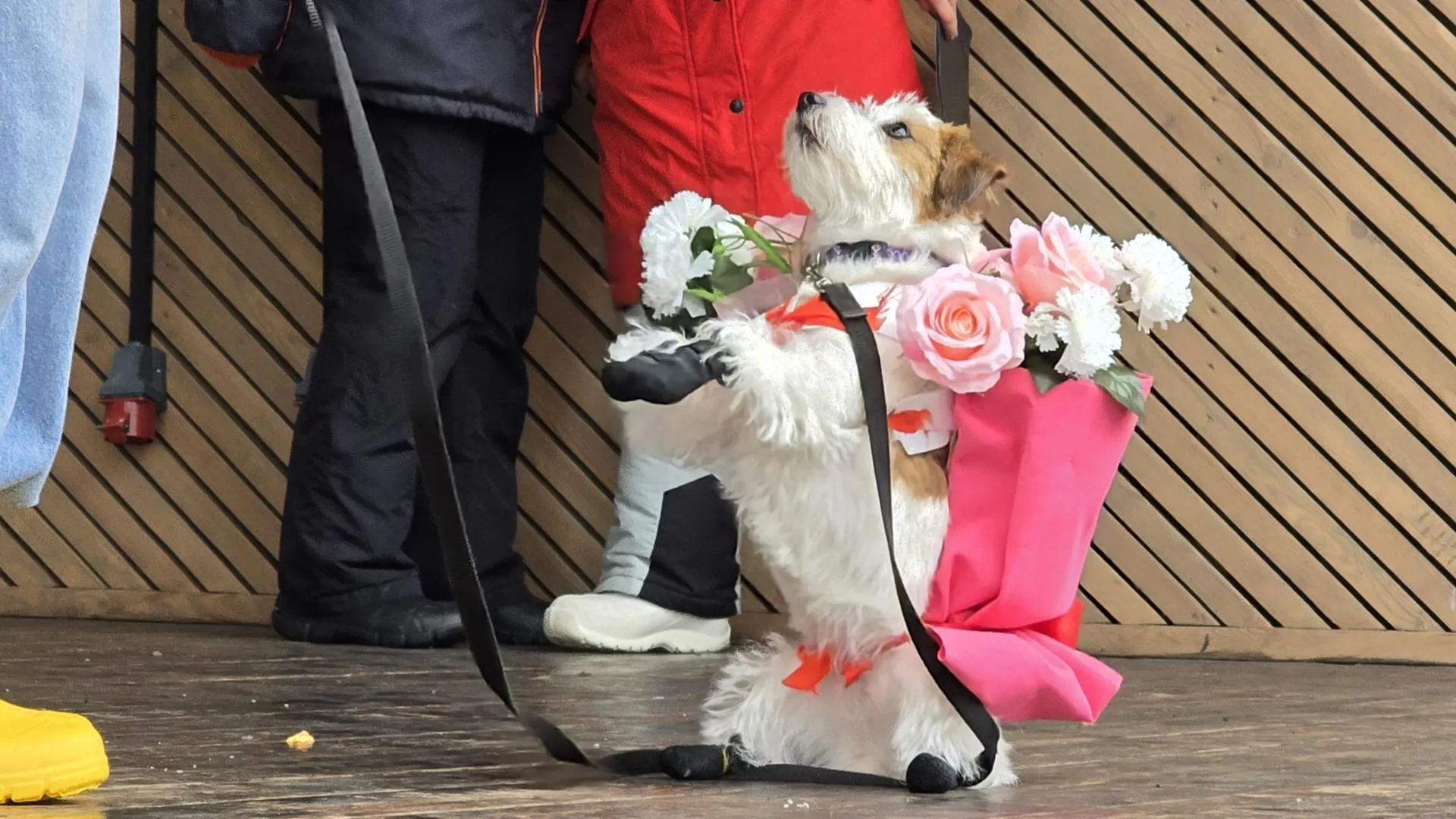 МедиаБанк Подмосковья/Марина Анисимова