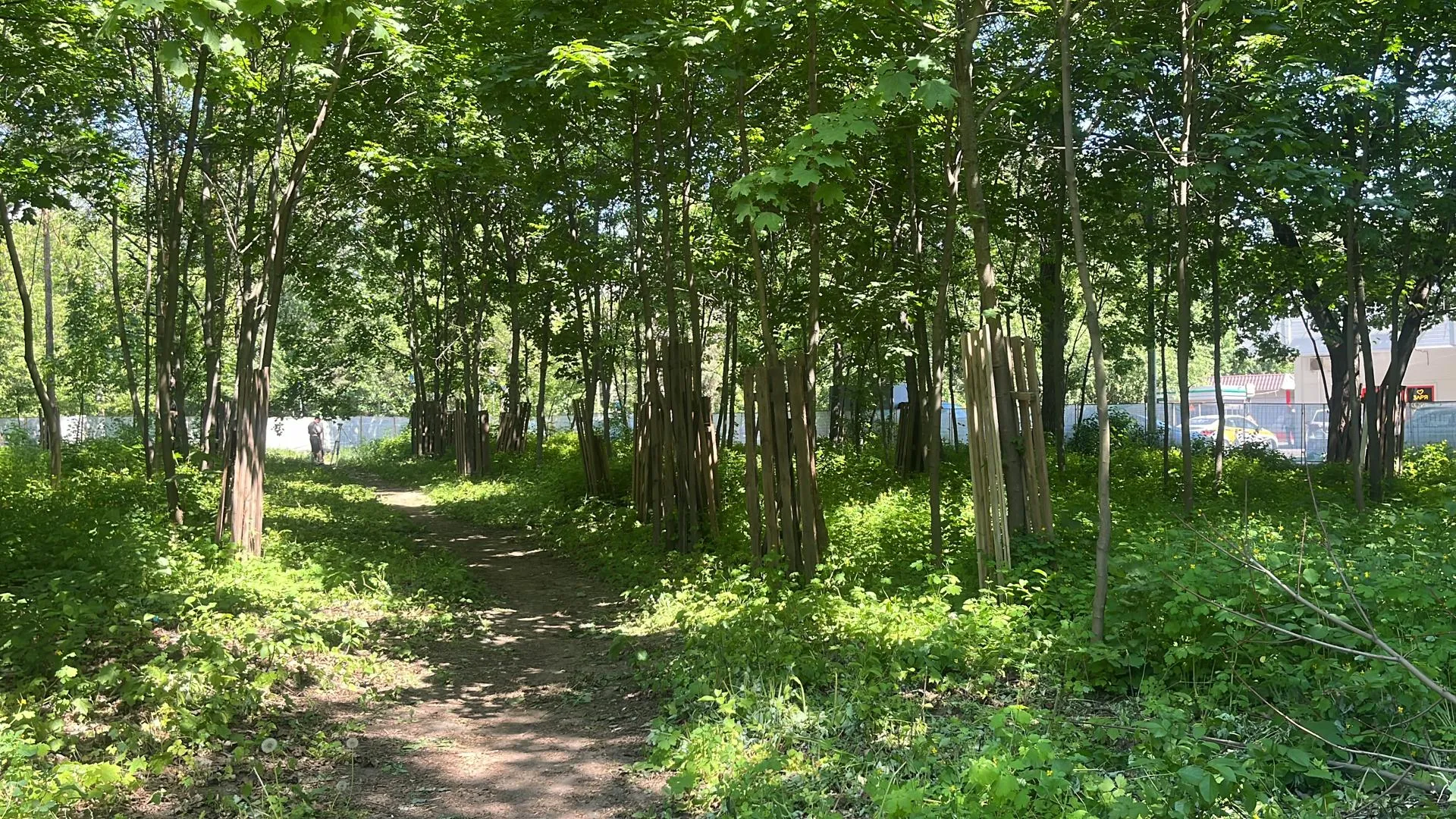 Фото: Елизавета Приймак