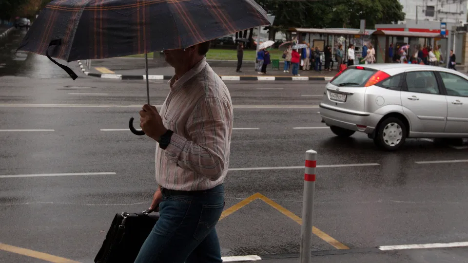 Фото: медиасток.рф