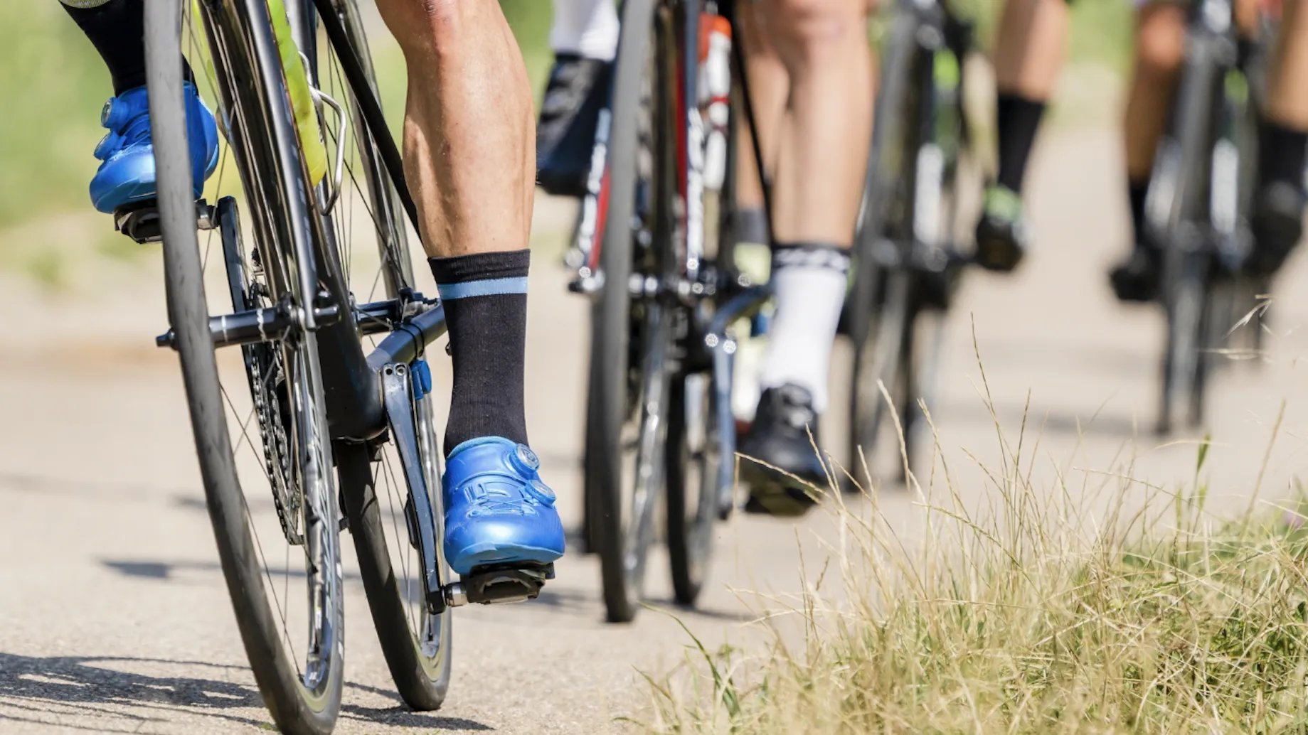 Фото: freepik.com