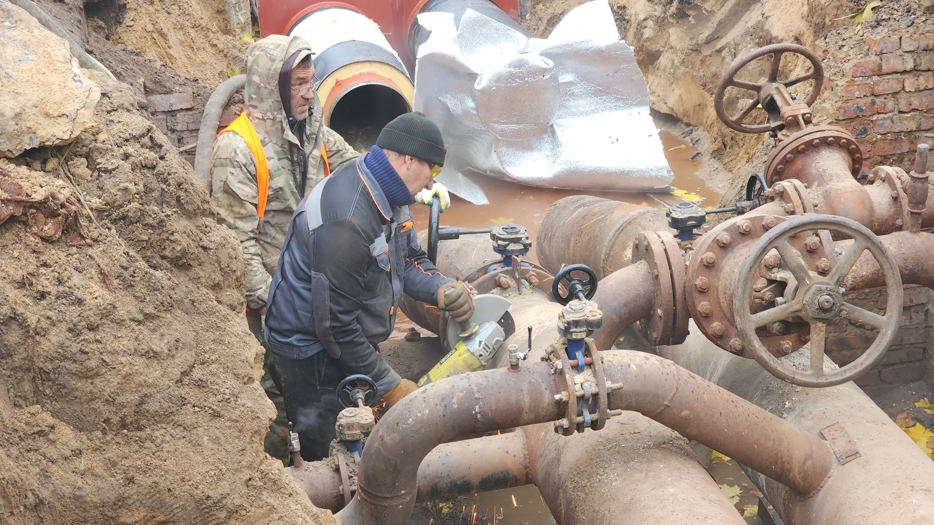 Фото: МедиаБанк Подмосковья/Иван Петрушин