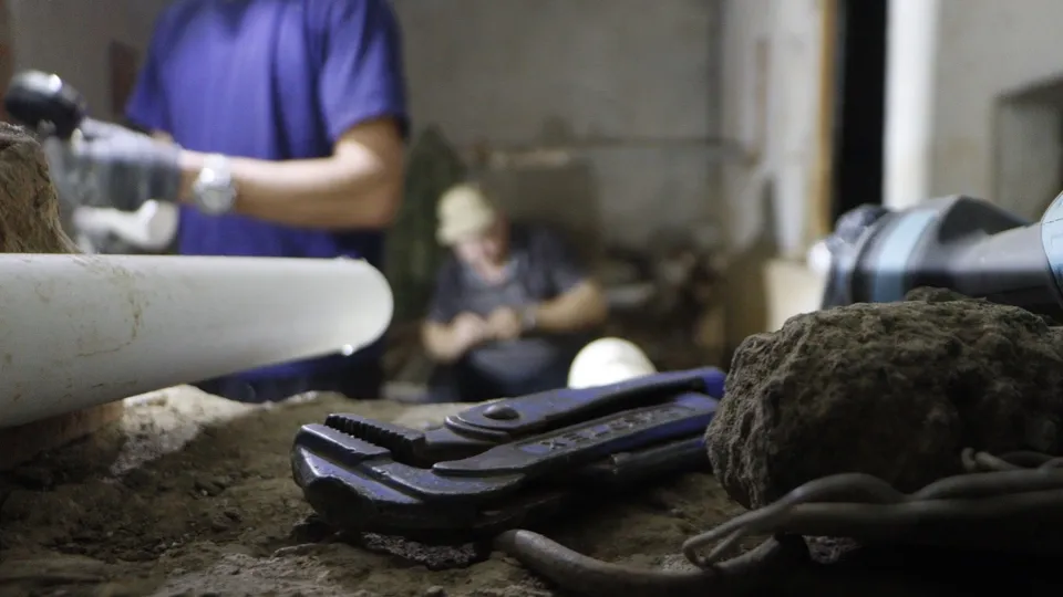 Фото: МедиаБанк Подмосковья/Татьяна Кострикина