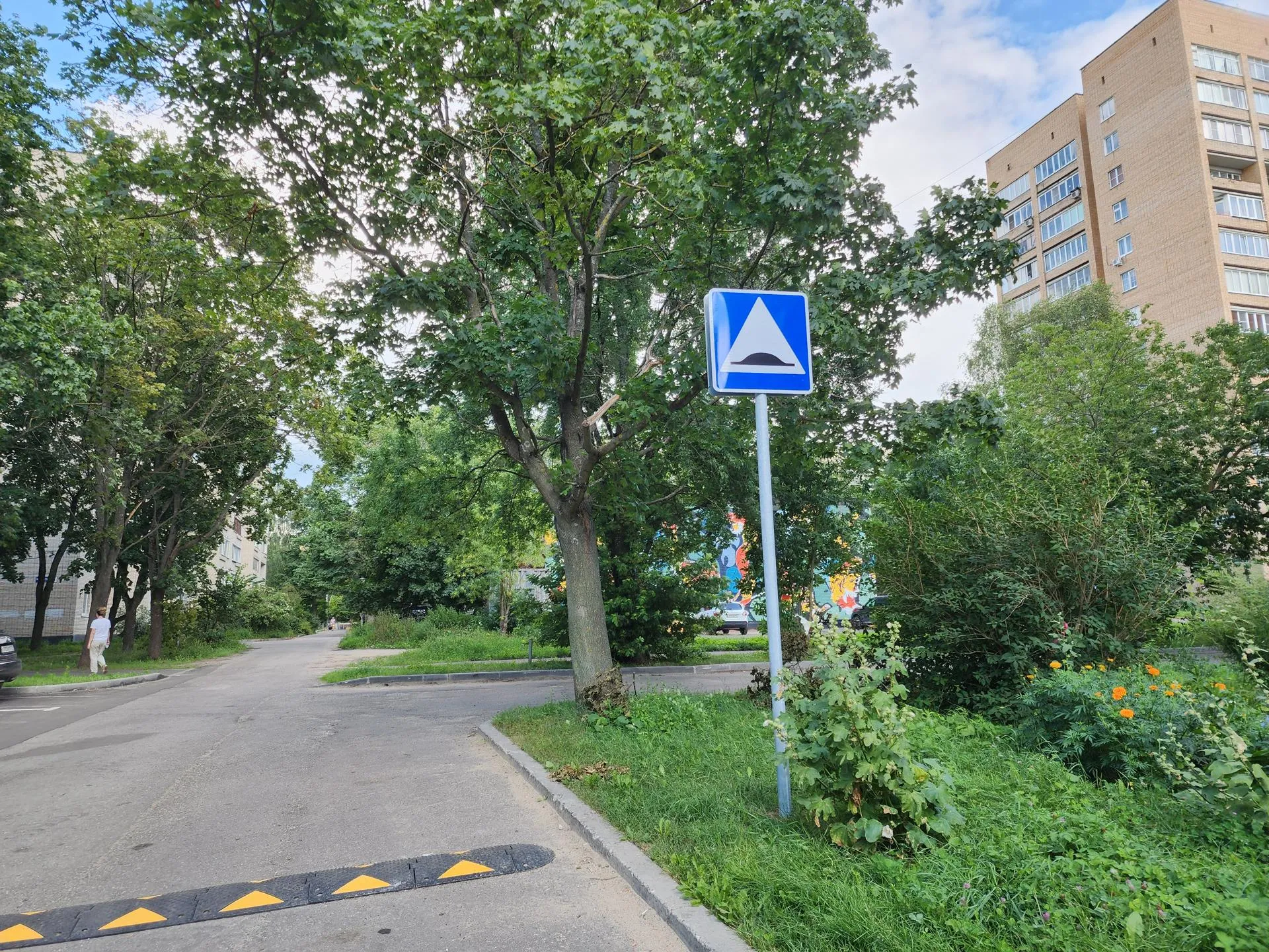 Новые лежачие полицейские во дворе дома №8 на Центральной улице. Фото: РИАМО/Иван Петрушин&nbsp;