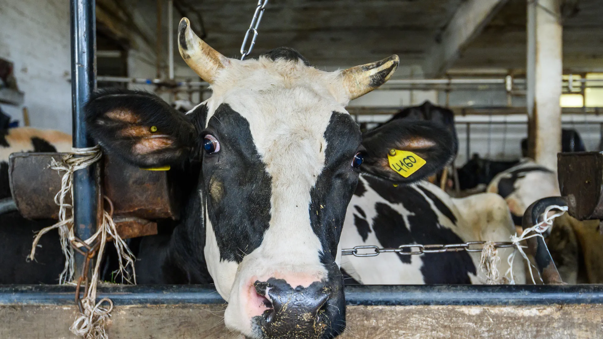 медиасток.рф