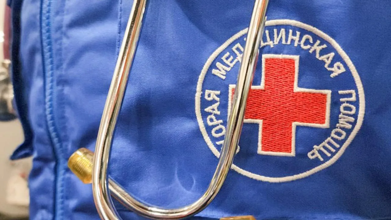 МедиаБанк Подмосковья/Мария Андрюхина