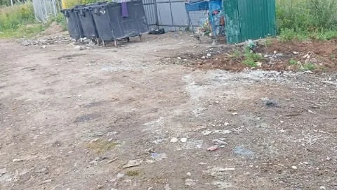 Фото: Министерство чистоты Московской области