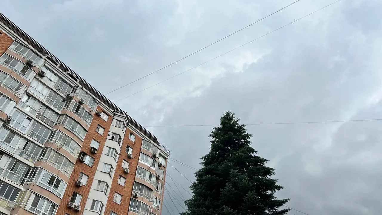 Фото: Елена Фурман