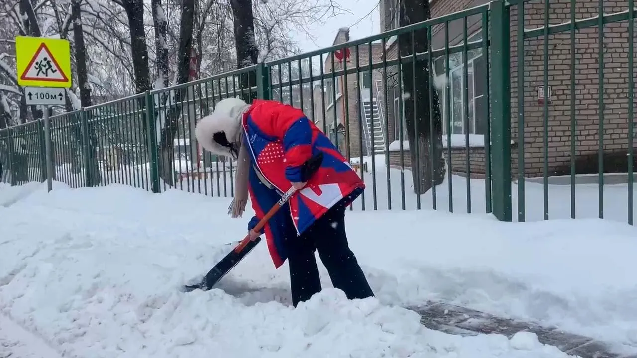 Волонтеры Подмосковья