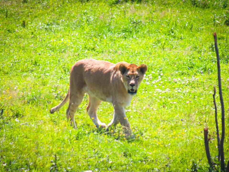 Фото: МедиаБанк Подмосковья/Данила Кирьянов