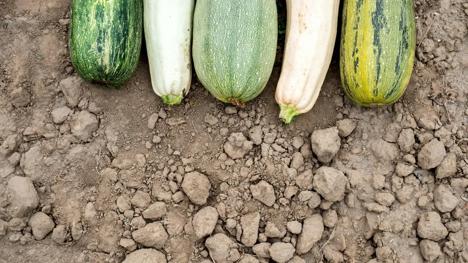 Фото: unsplash.com