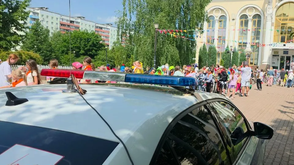 Фото: ЦРТДЮ Краснознаменска