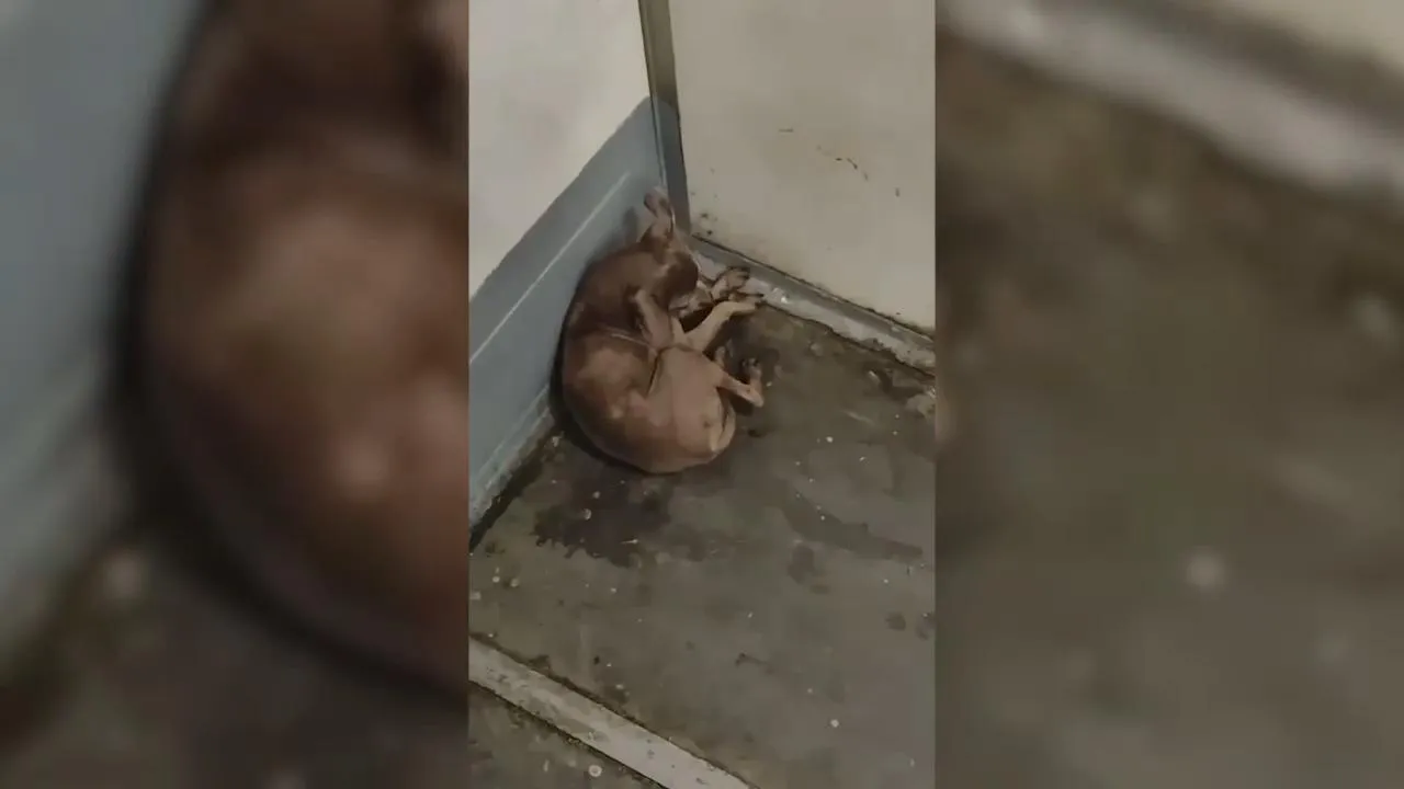 Соцсети
