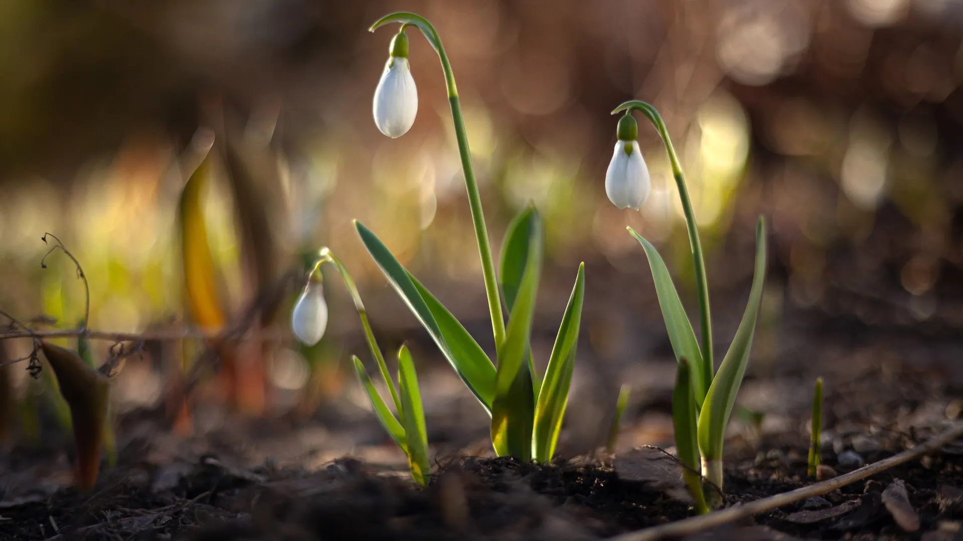 медиасток.рф