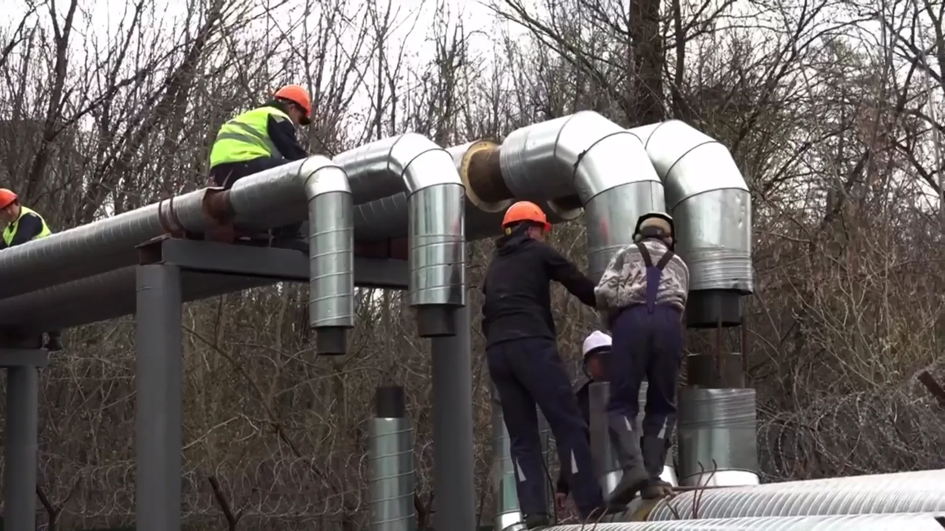 Фото: t.me/tatianavitusheva