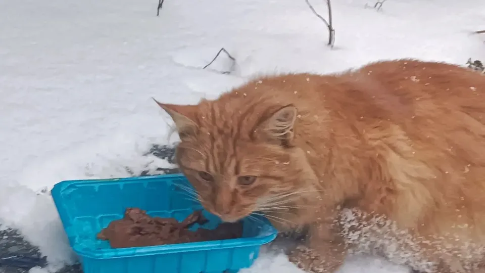 Фото: личный архив Майи Матвеевой
