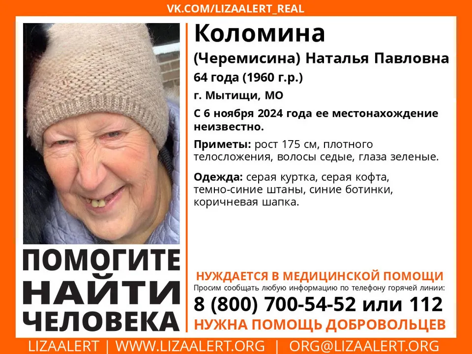 &nbsp; Фото: Добровольческий поисково-спасательный отряд «Лиза Алерт»