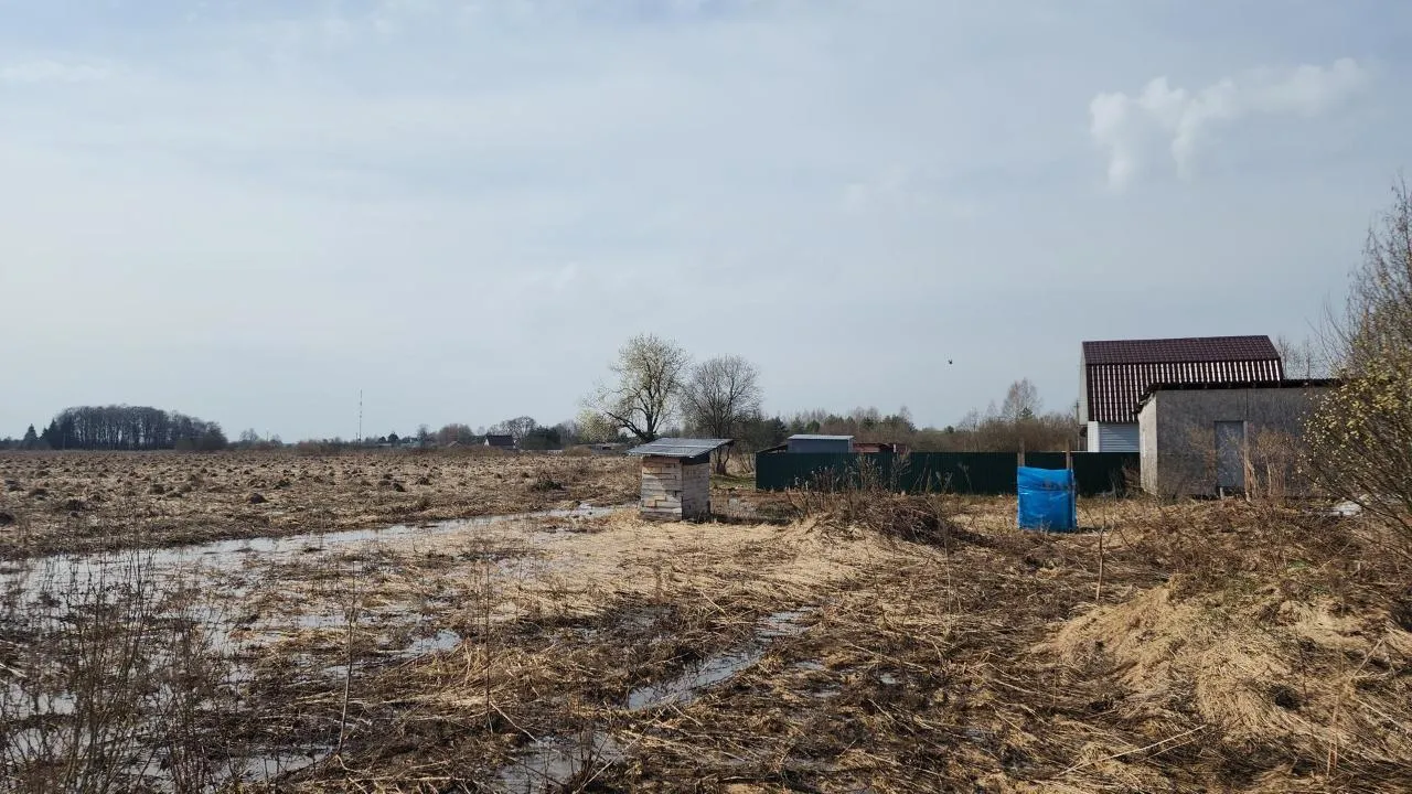 МедиаБанк Подмосковья/Дмитрий Беденко