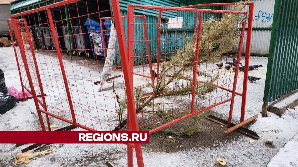 Фото: REGIONS/Наталья Дорошева