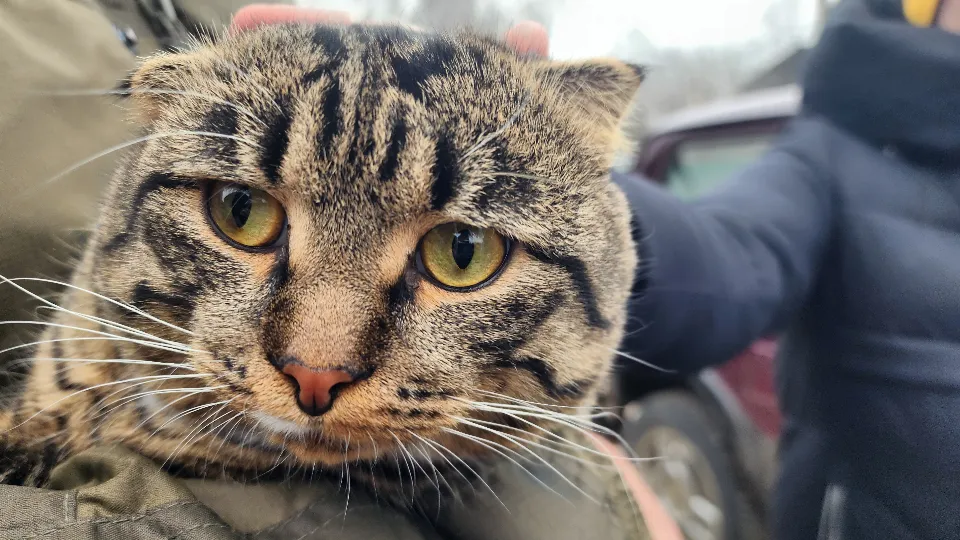 Фото: МедиаБанк Подмосковья/ нна Шолохова
