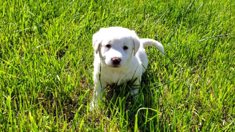 Фото: REGIONS/Юлия Габбасова