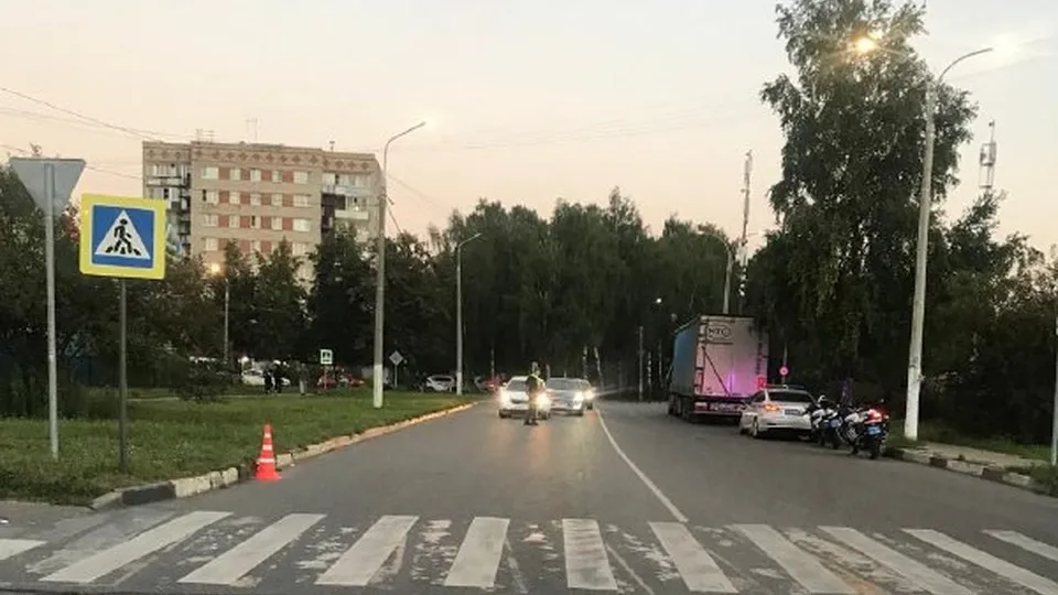 Фото: УМВД России по г.о. Подольск