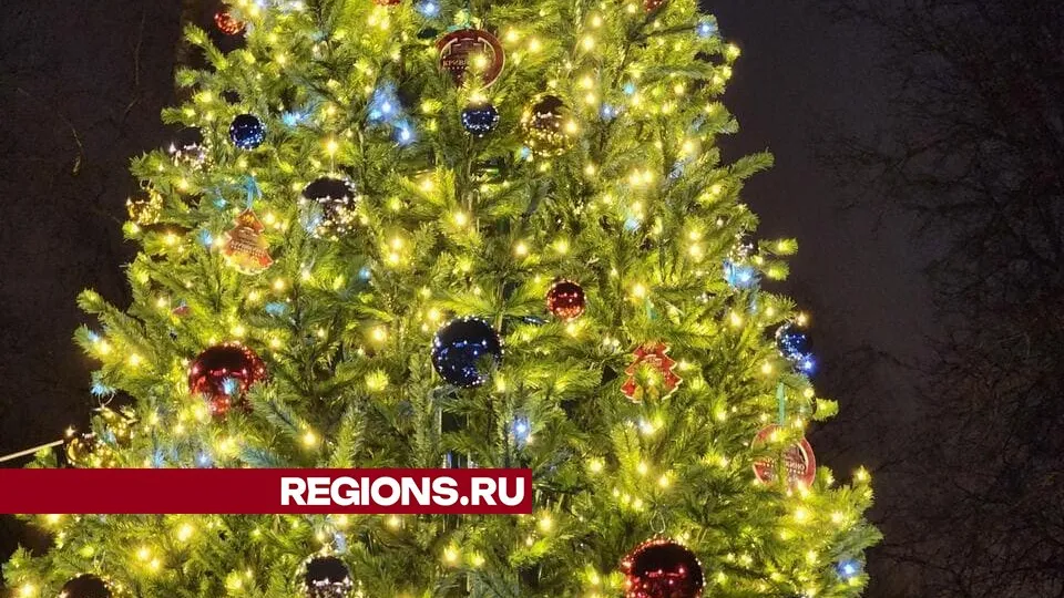 Фото: Светлана Плотникова