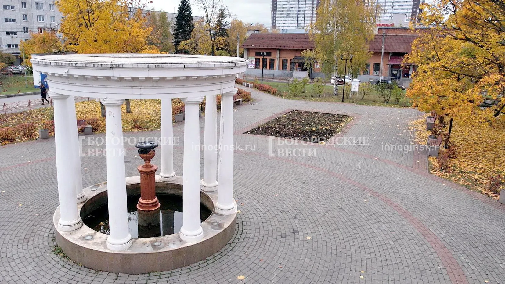 Фото: Ксения Борцова