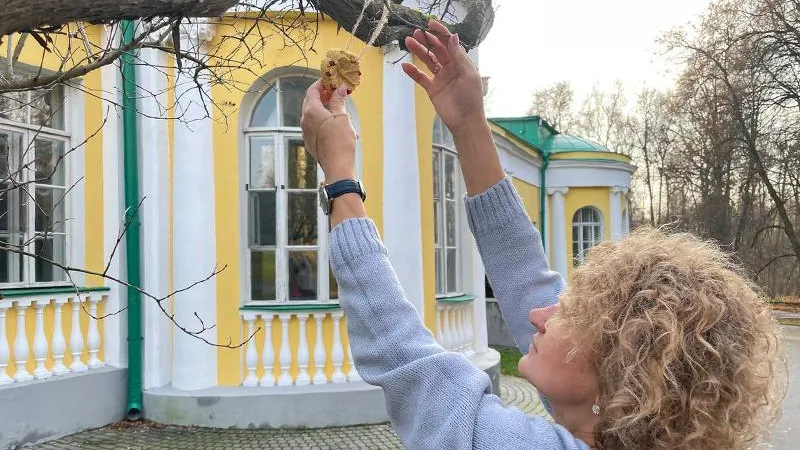 В Горках Ленинских впервые проведут «Синичкин день» и развесят съедобные кормушки 