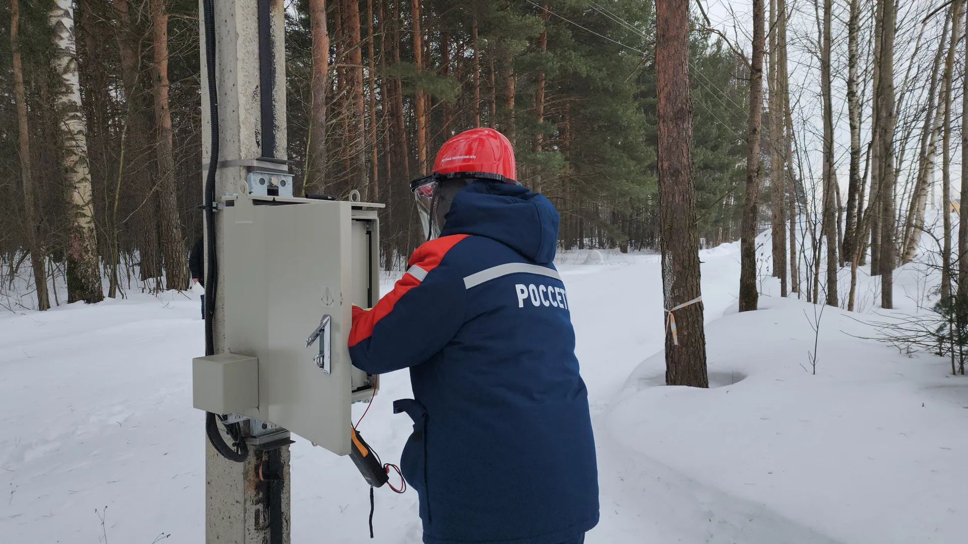 Фото: Алена Притула
