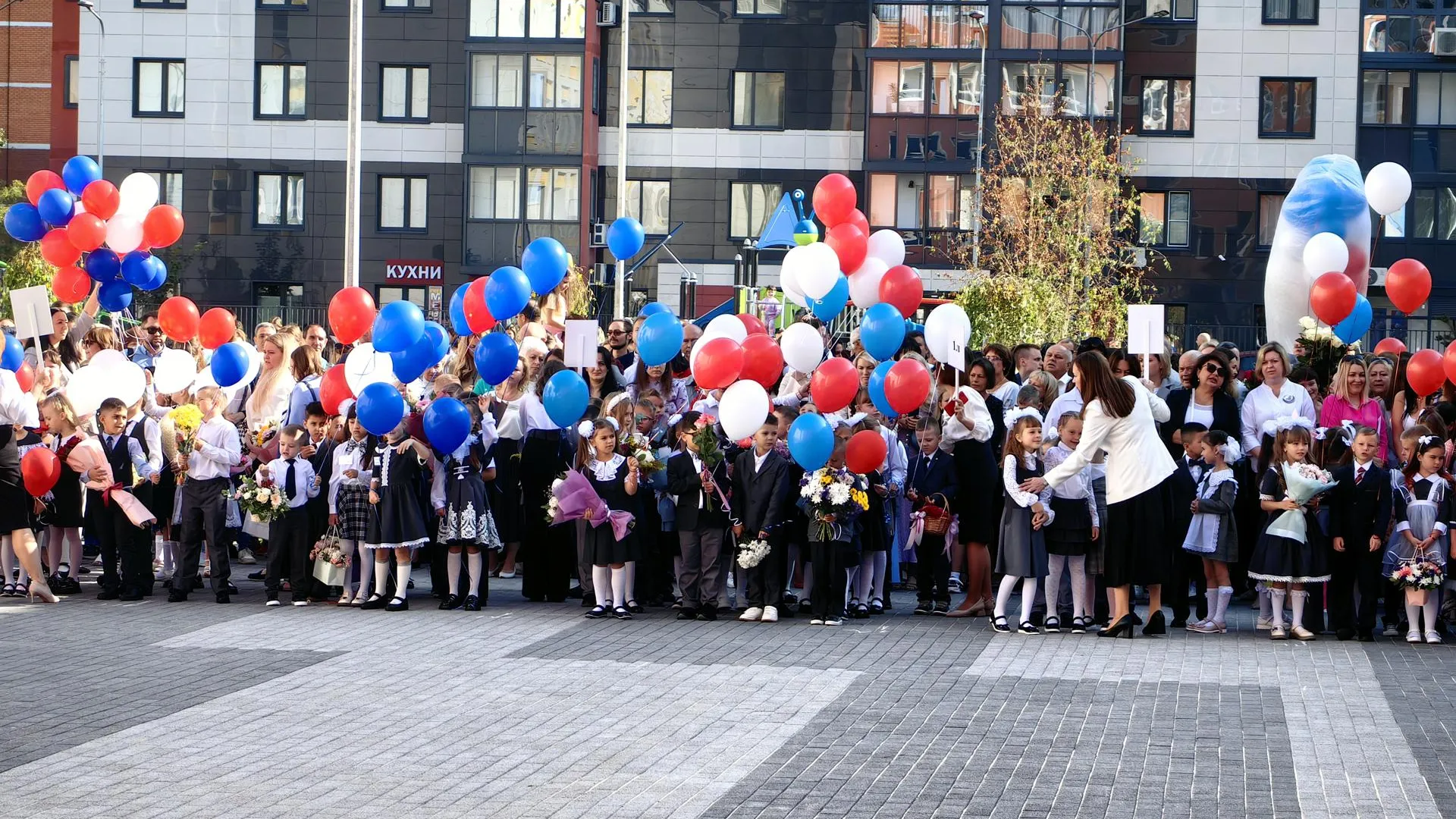 Елена Катасонова