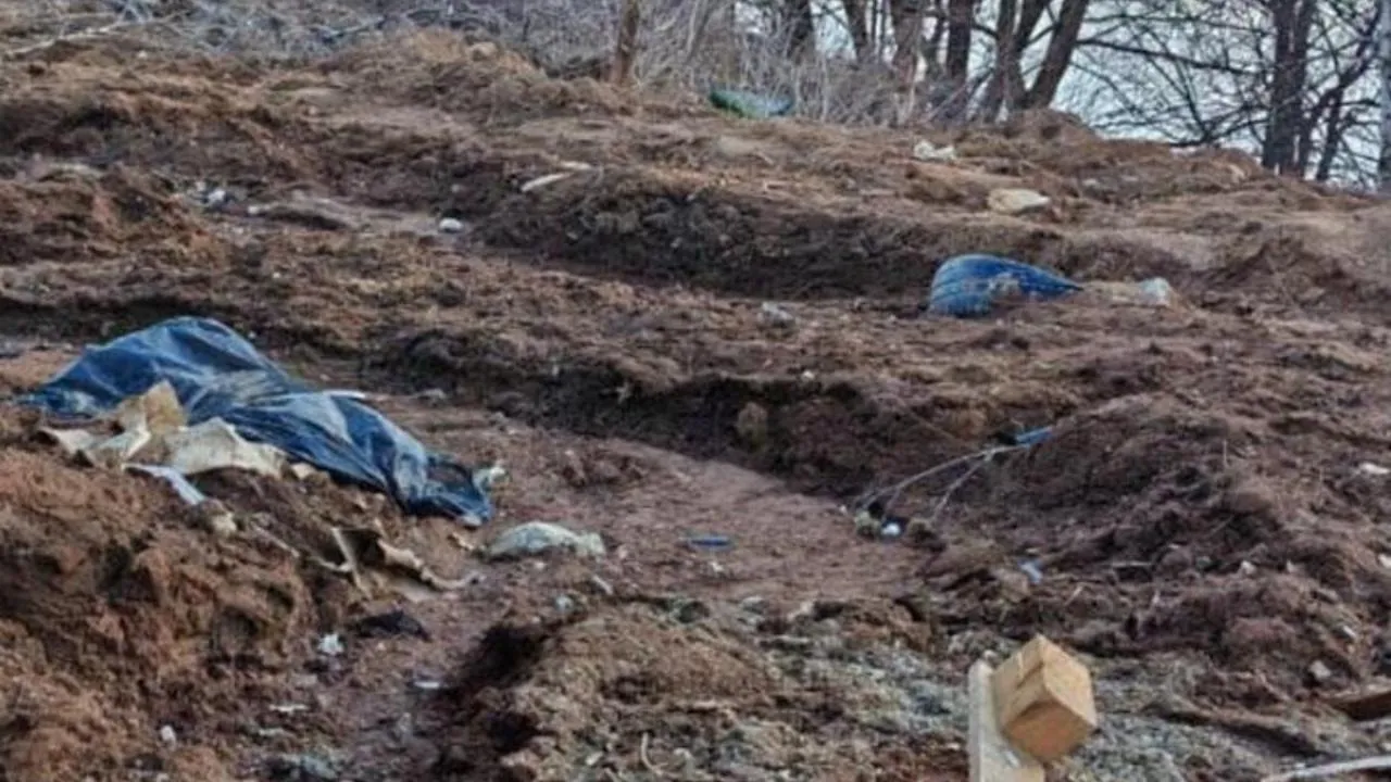 В Щелково передали в суд иск о возмещении ущерба на 362 тыс. рублей, нанесенного свалкой