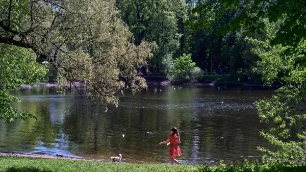 В столичном регионе ожидается переменная облачность без осадков