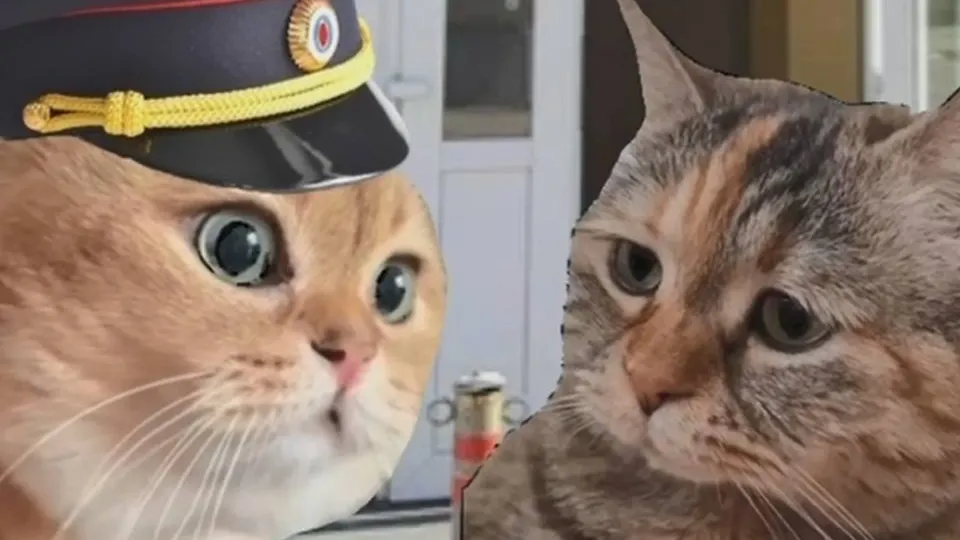 Фото: Официальный представитель МВД Ирина Волк