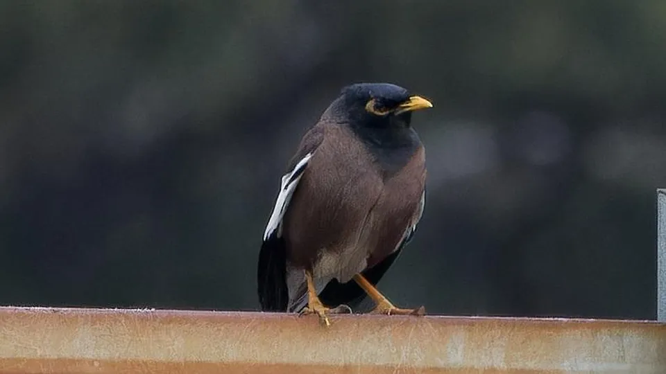 Фото: Виктория Мизяк