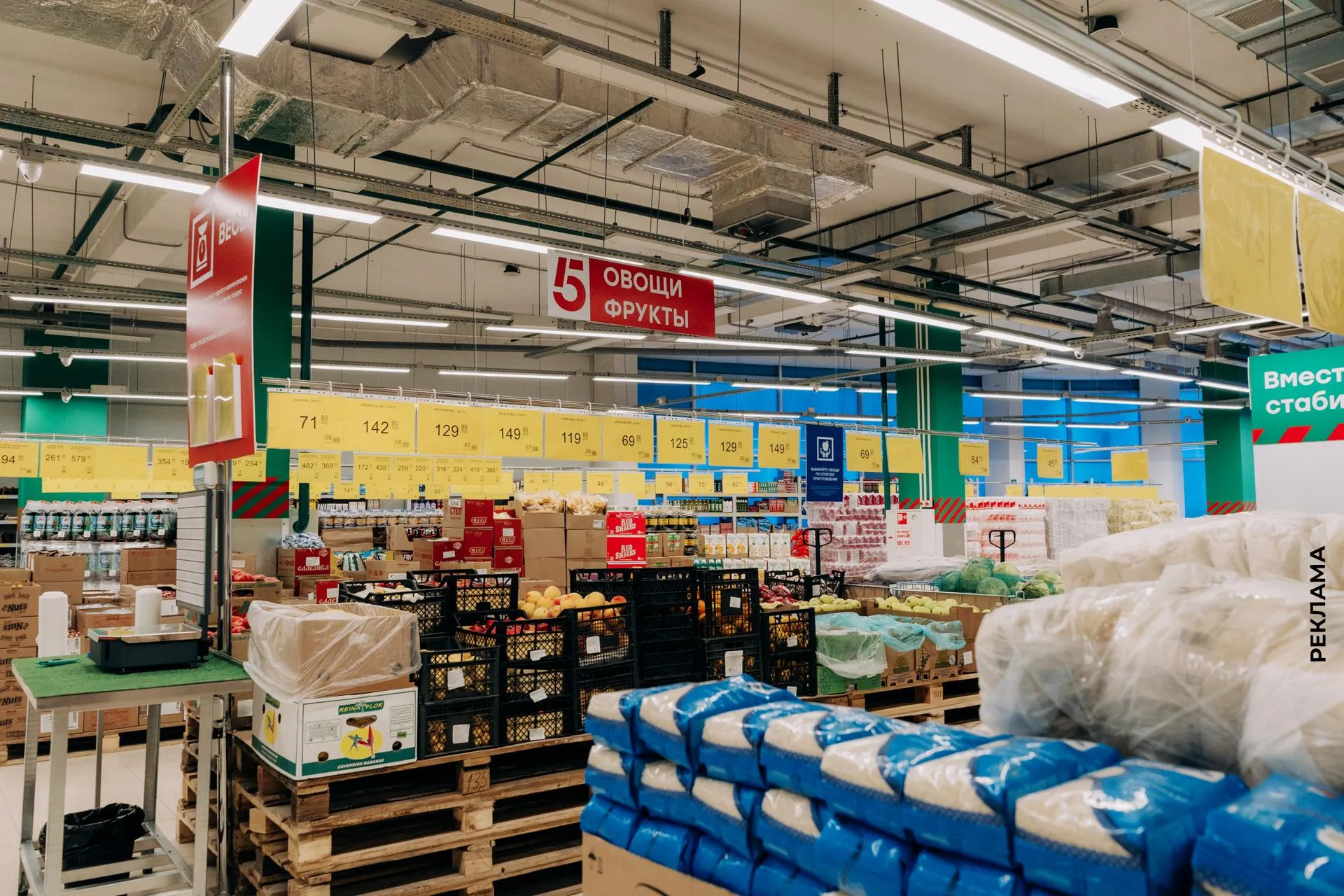 Фото: Лилия Белоснежная