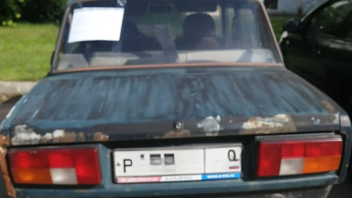 Фото: пресс-служба администрации Наро-Фоминского г.о.