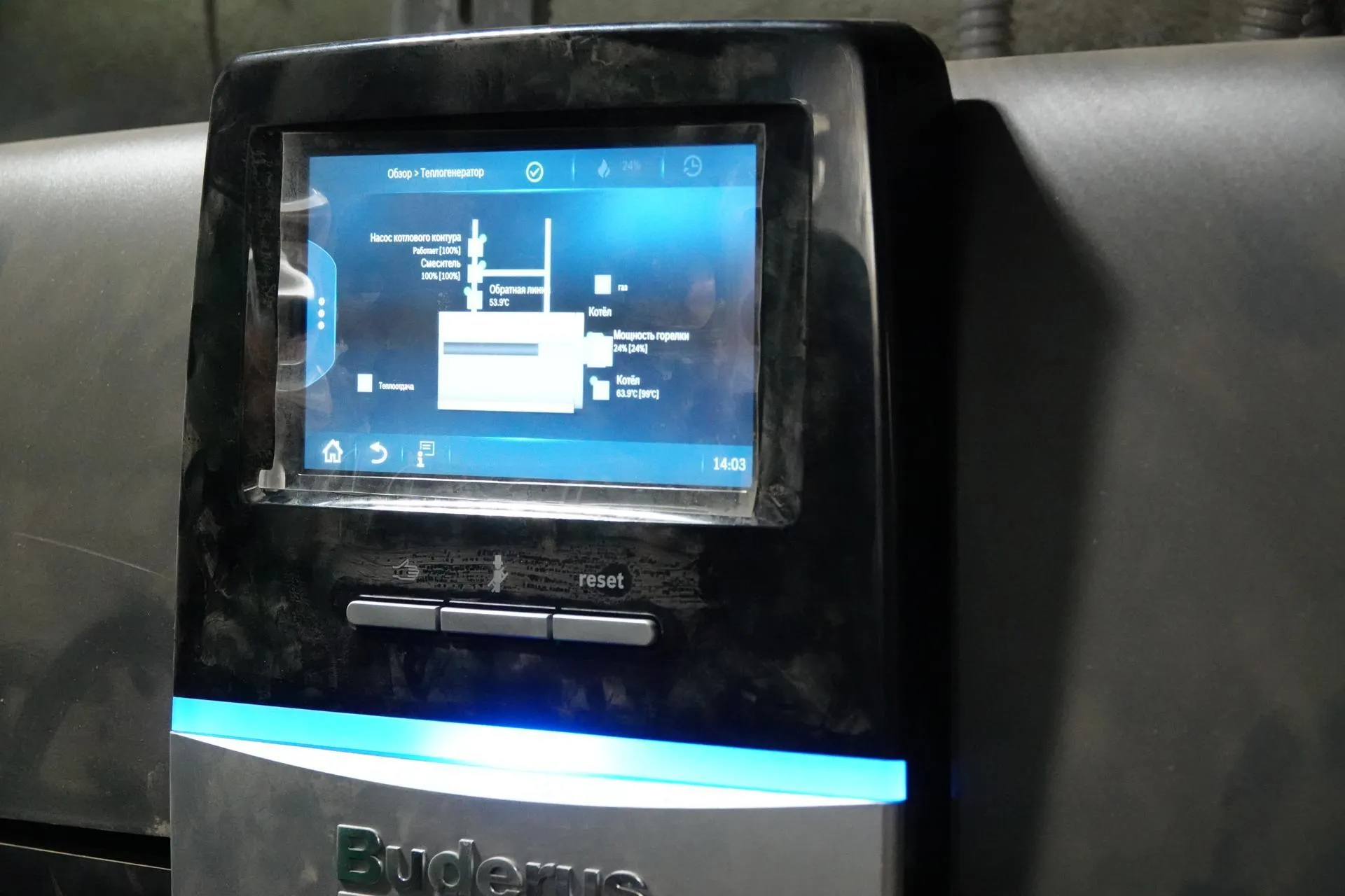 Фото: Дарья Леонова