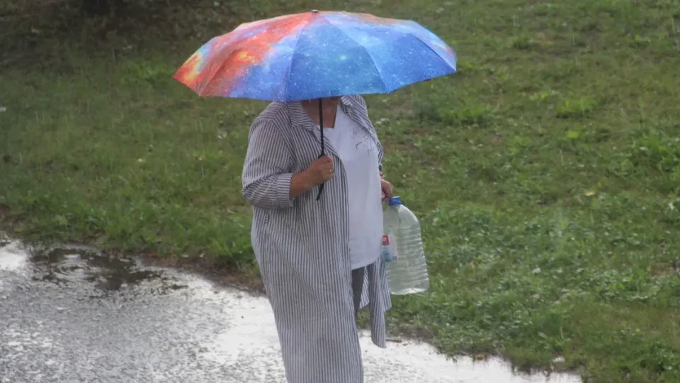 Фото: REGIONS/Василий Тремасов