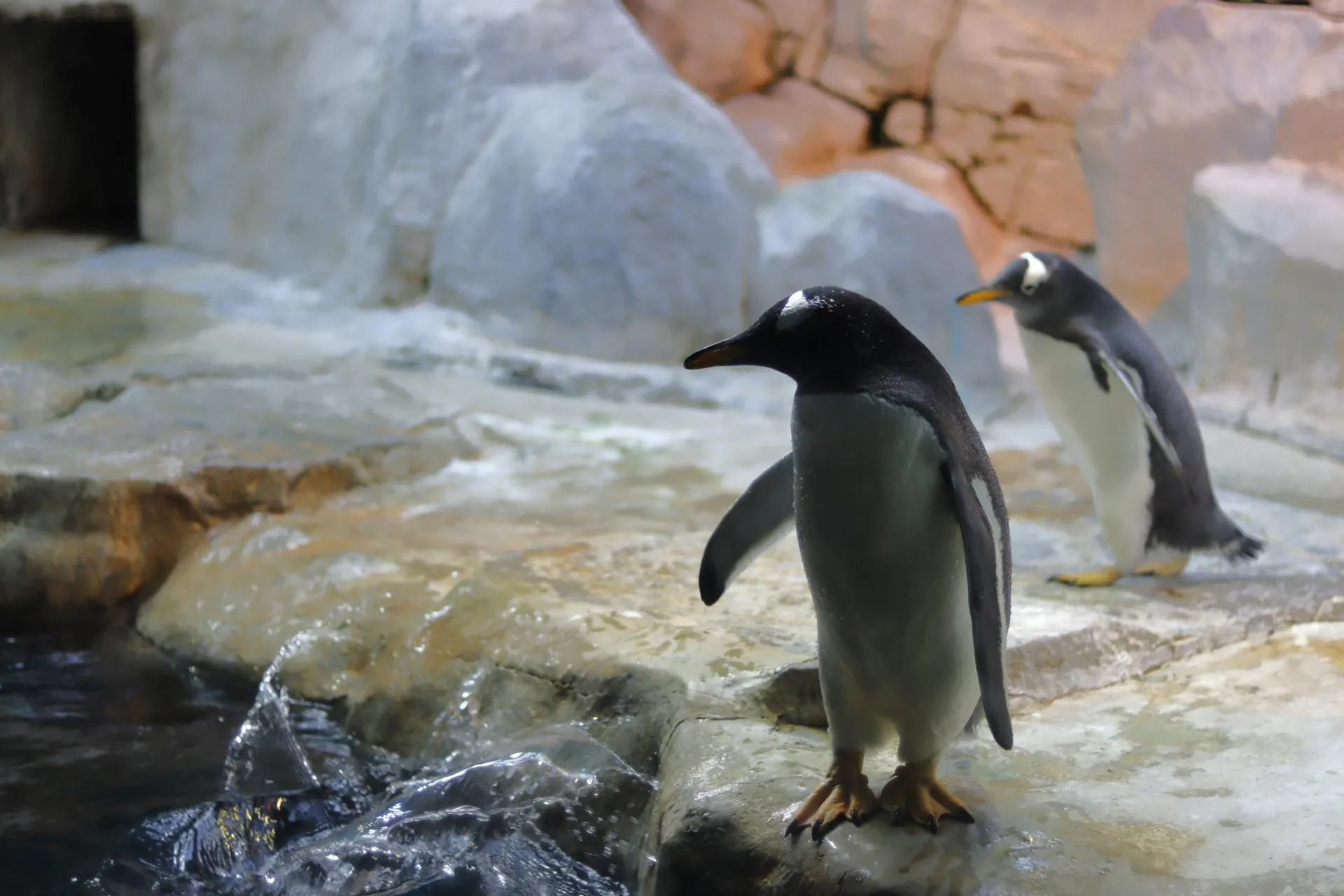 Фото: «Молодая Гвардия» г. о. Зарайск