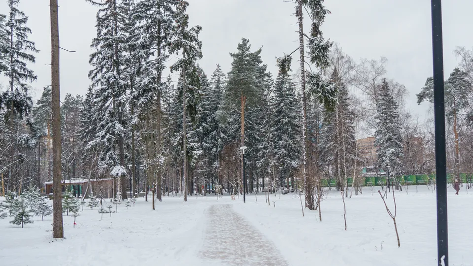 Фото: медиасток.рф